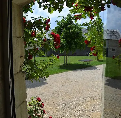 Gites Du Chateau De La Motte