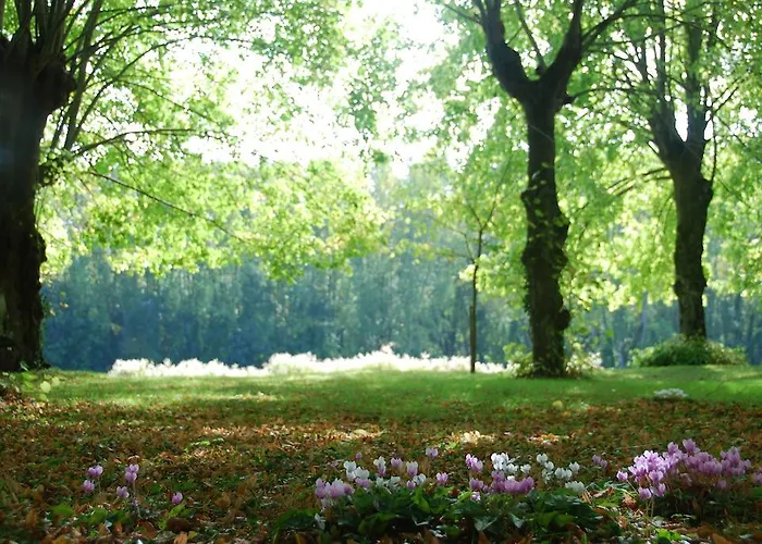 Σπίτι διακοπών Gites Du Chateau De La Motte *