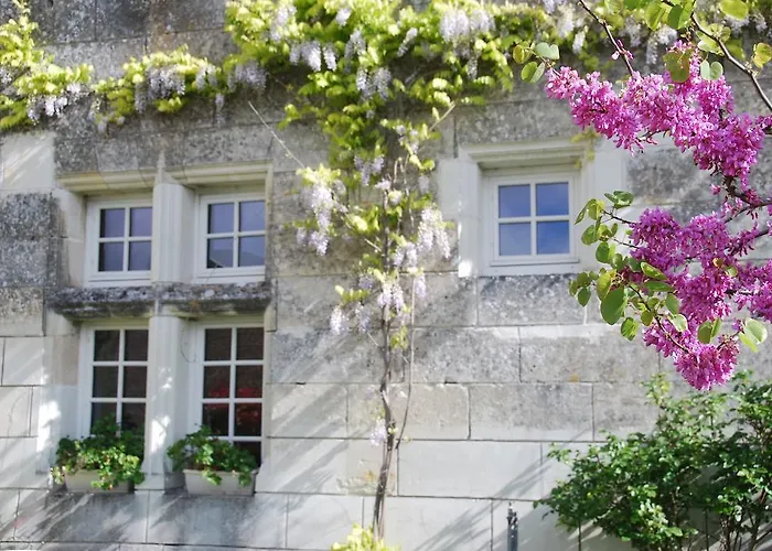 Σπίτι διακοπών Gites Du Chateau De La Motte Usseau (Vienne)