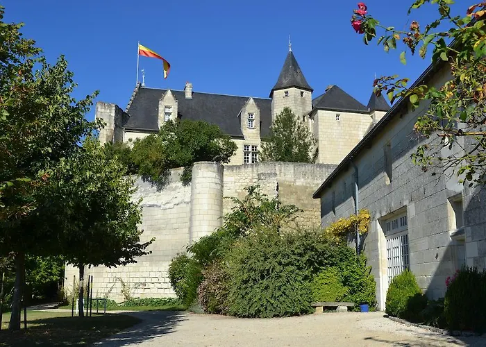 Gites Du Chateau De La Motte Σπίτι διακοπών Usseau (Vienne)