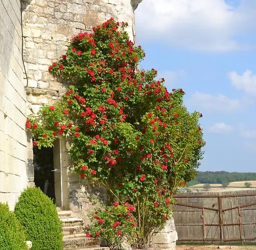 Σπίτι διακοπών Gites Du Chateau De La Motte *